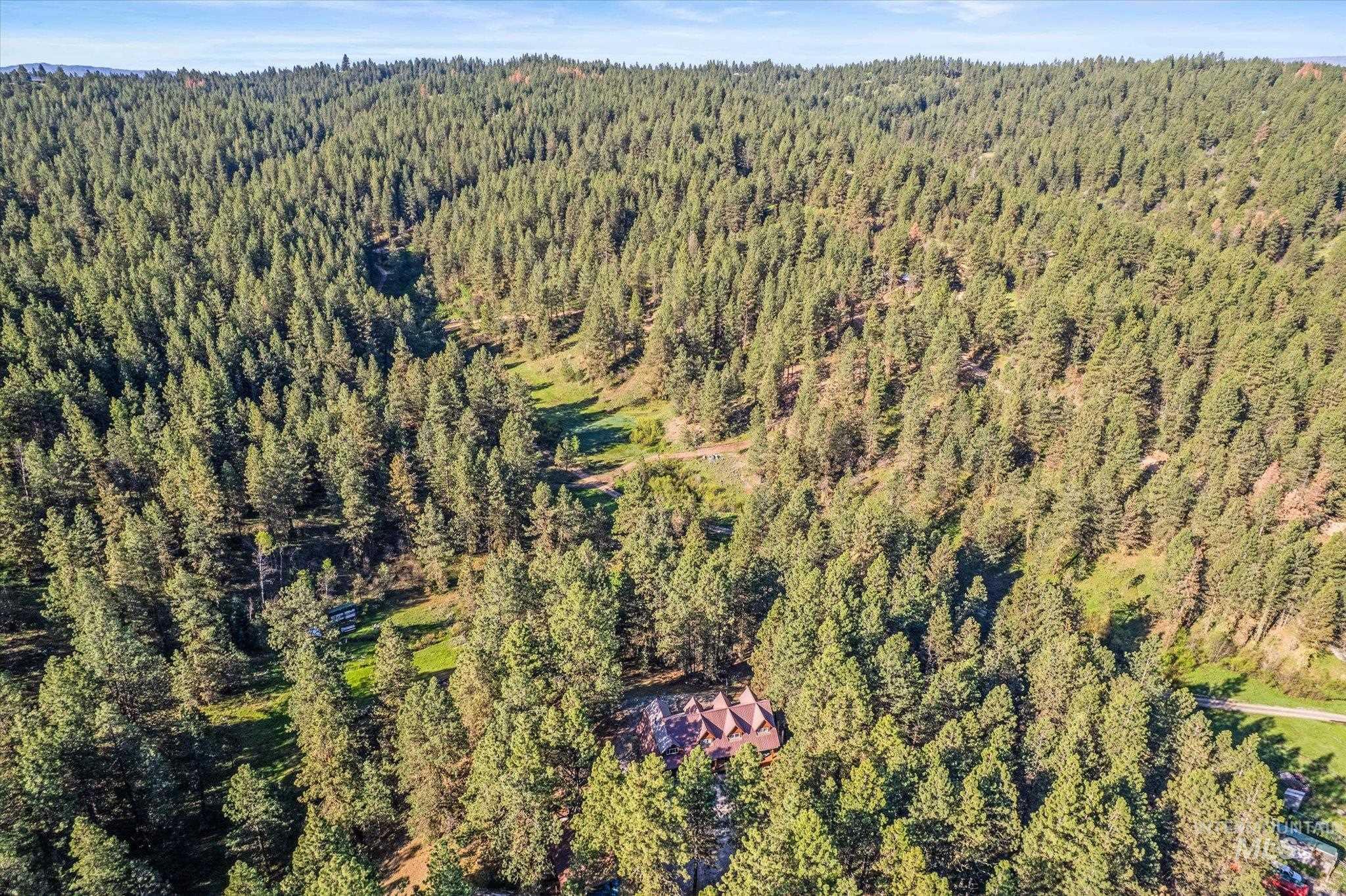1 Sunset Trail Banks, ID 83602 - Photo 37 of 42 Extensive forested acreage featuring a residence nestled among mature evergreen trees
