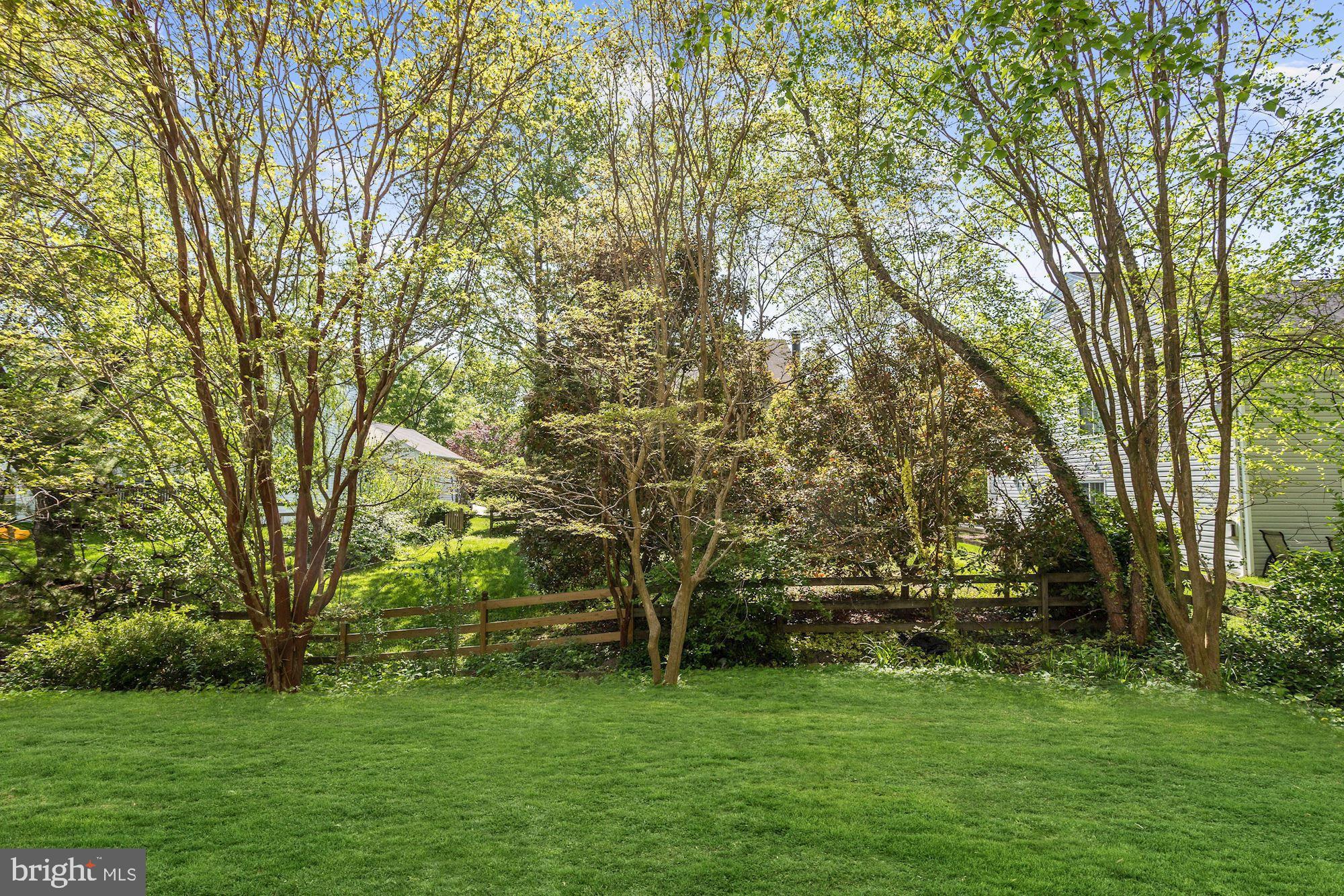 841 Sunny Chapel Road Odenton, MD 21113 - Photo 28 of 29 Backyard