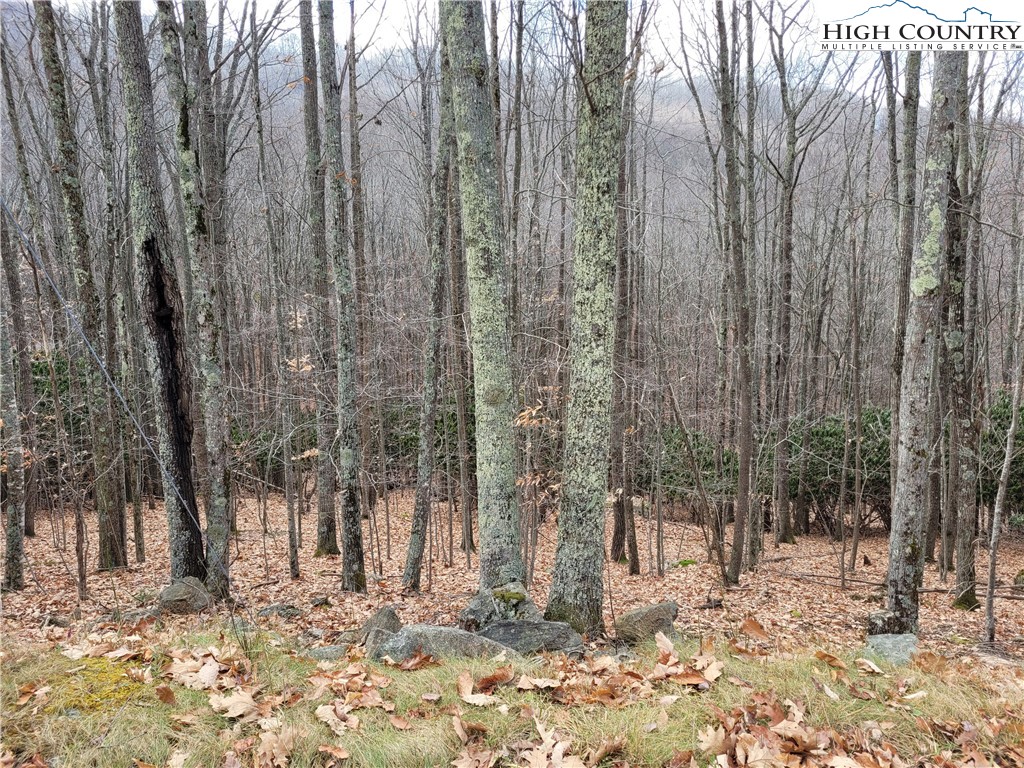 201 Jackpine Road Beech Mountain, NC 28604 - Photo 11 of 14 Gallery Image 11