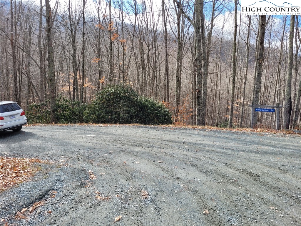 201 Jackpine Road Beech Mountain, NC 28604 - Photo 14 of 14 Gallery Image 14