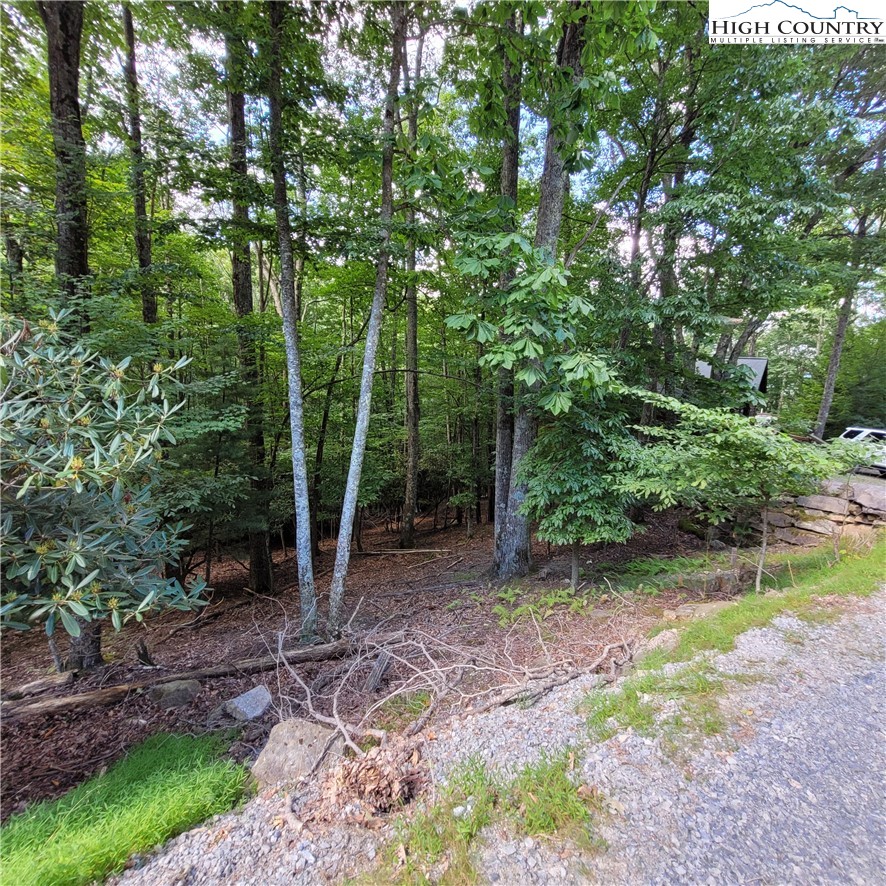 201 Jackpine Road Beech Mountain, NC 28604 - Photo 3 of 14 Gallery Image 3
