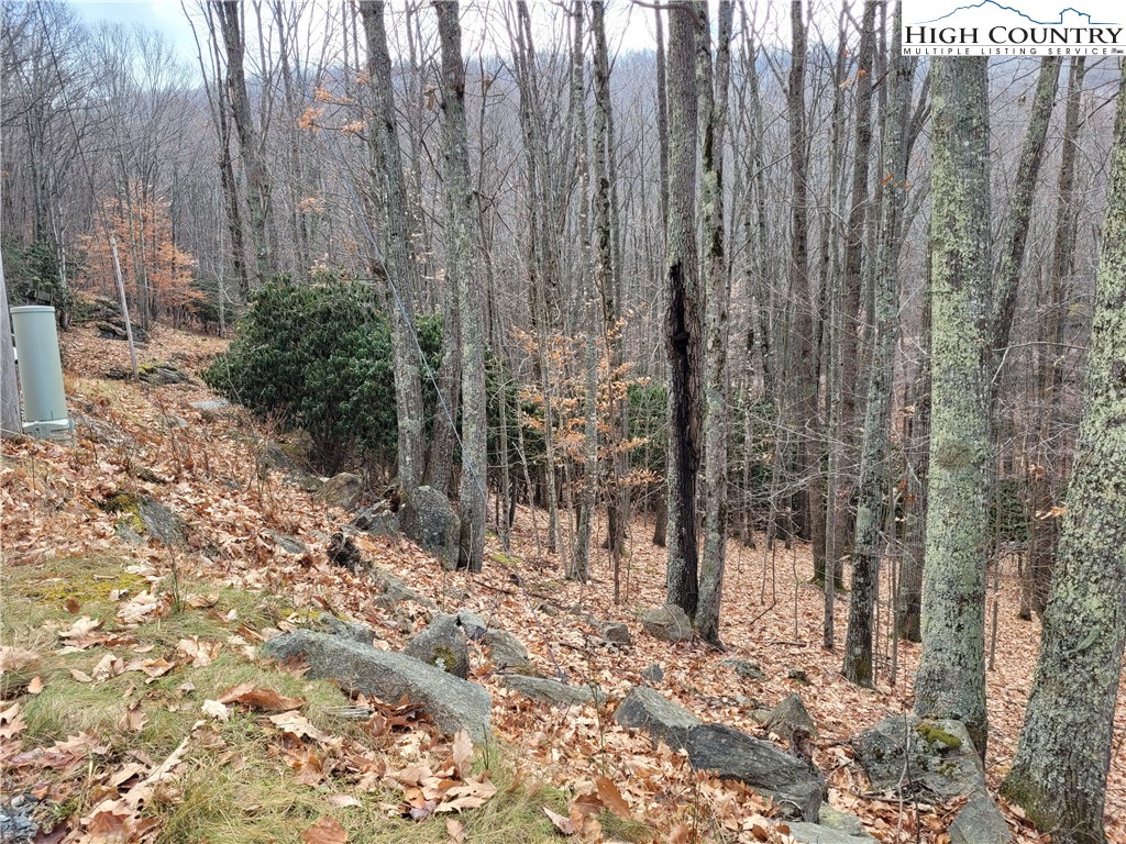 201 Jackpine Road Beech Mountain, NC 28604 - Photo 4 of 14 Gallery Image 4