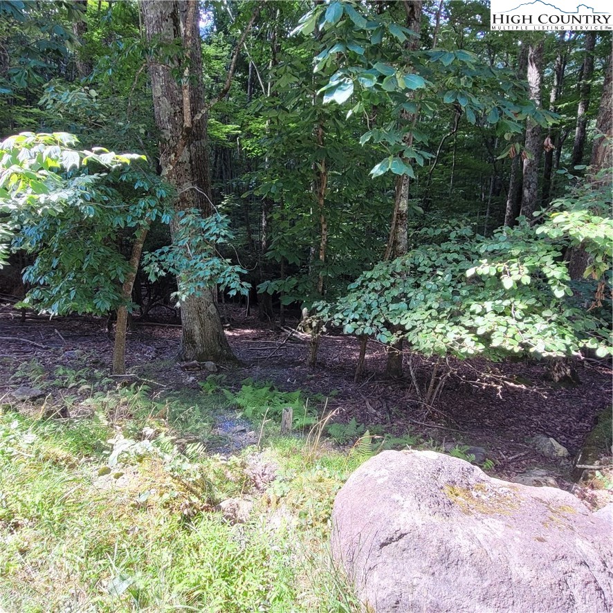 201 Jackpine Road Beech Mountain, NC 28604 - Photo 5 of 14 Gallery Image 5