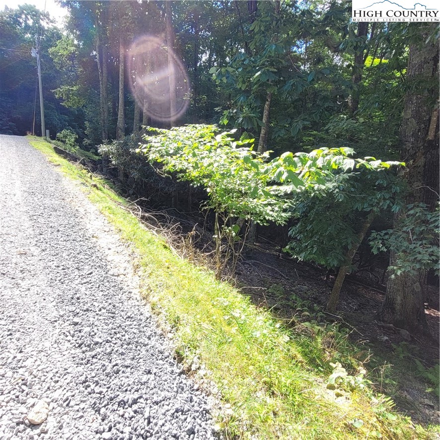 201 Jackpine Road Beech Mountain, NC 28604 - Photo 6 of 14 Gallery Image 6