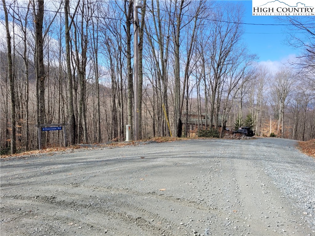 201 Jackpine Road Beech Mountain, NC 28604 - Photo 7 of 14 Gallery Image 7