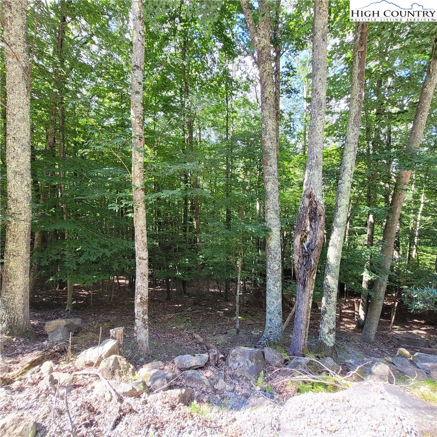 201 Jackpine Road Beech Mountain, NC 28604 - Photo 8 of 14 Gallery Image 8