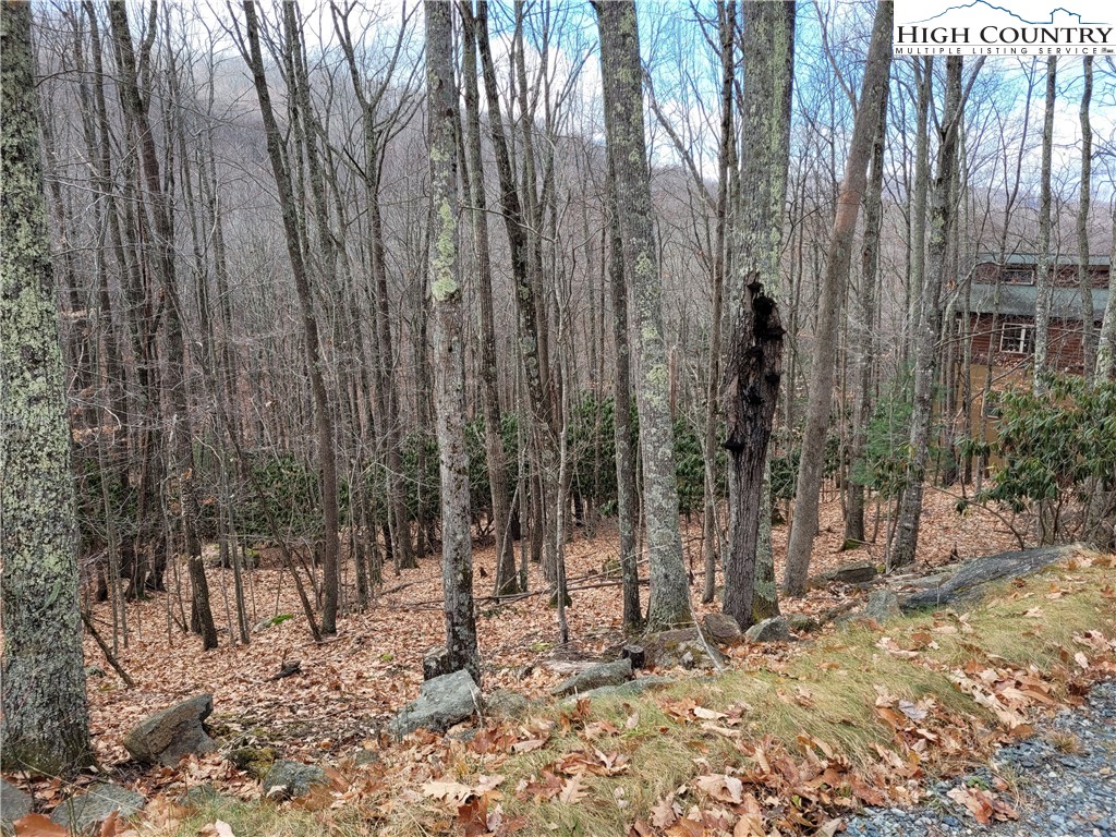 201 Jackpine Road Beech Mountain, NC 28604 - Photo 9 of 14 Gallery Image 9