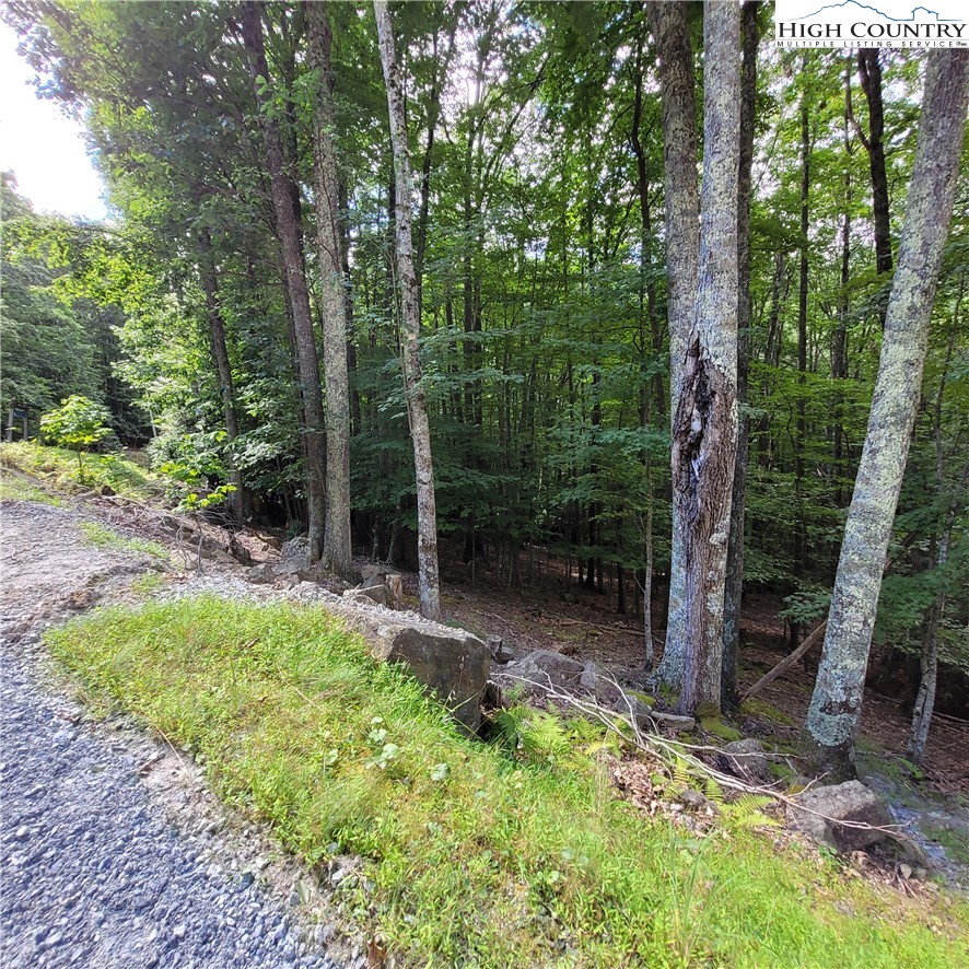 201 Jackpine Road Beech Mountain, NC 28604 - Photo 10 of 14 Gallery Image 10