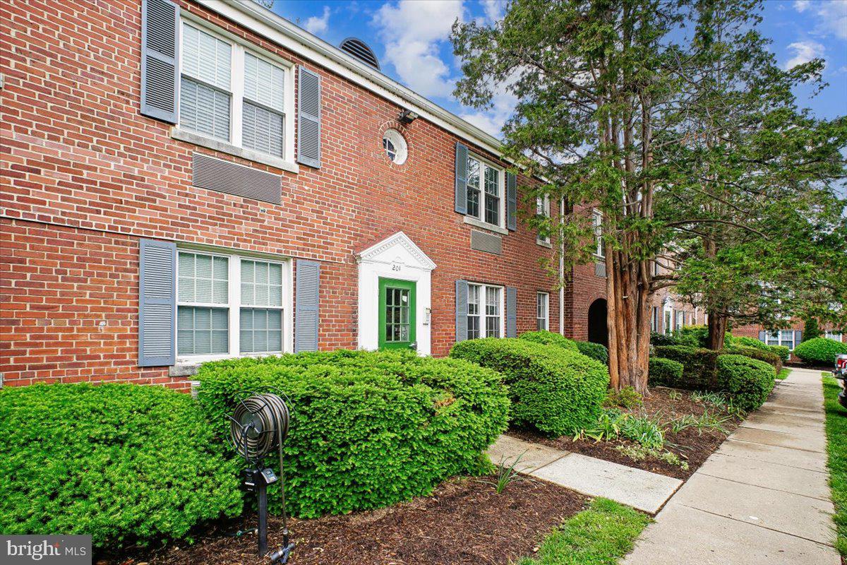 201 East Glebe Road, Unit B Alexandria, VA 22305 - Photo 29 of 29