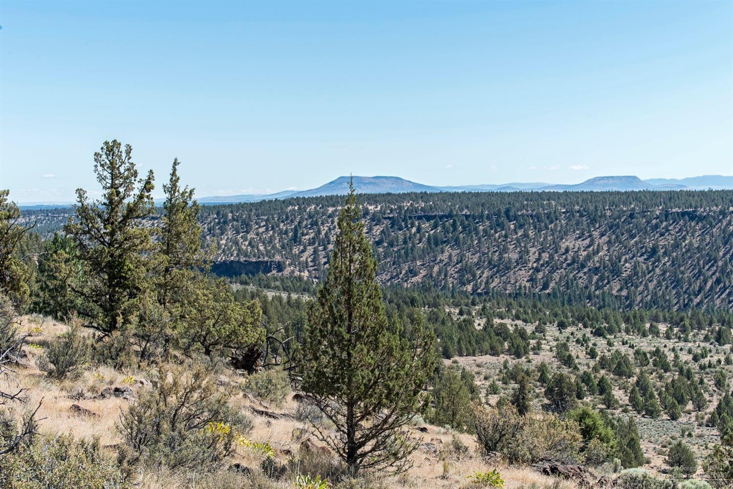 18075 Mountain View Road Sisters, OR 97759 - Photo 10 of 16 Additional Photo