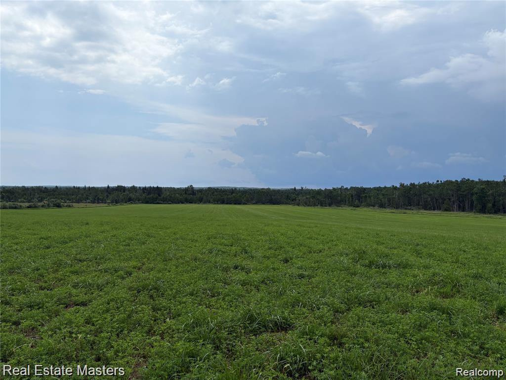 300 East Hubert Road Hubbard Lake, MI 49747 - Photo 3 of 9 Expansive open field with green ground cover and a distant tree line