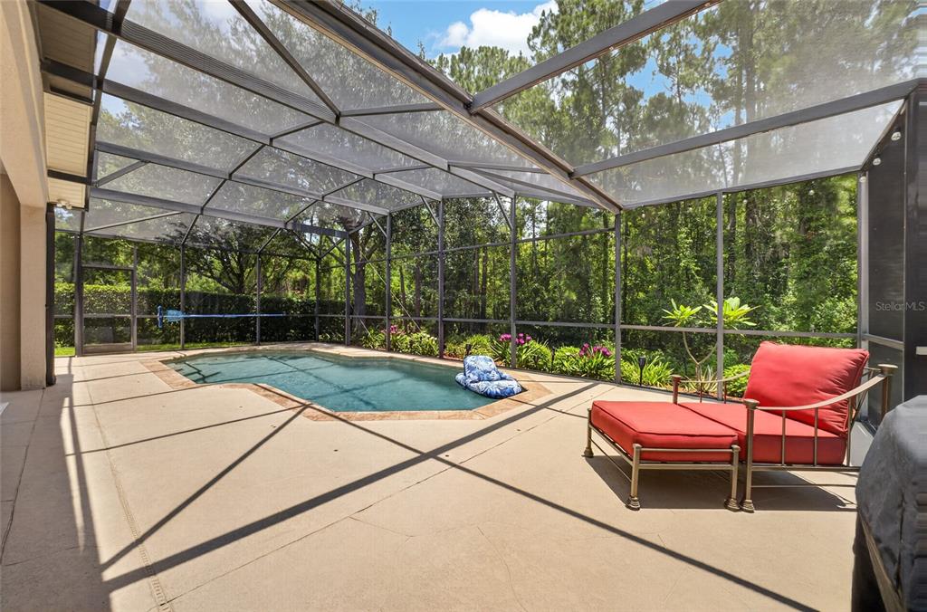 6587 Old Carriage Road Winter Garden, FL 34787 - Photo 5 of 85