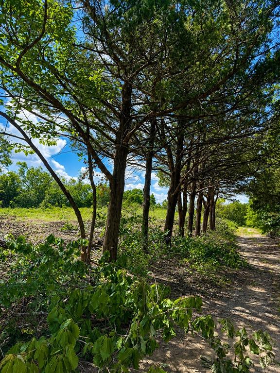 1264 Red Moore Road Whitewright, TX 75491 - Photo 6 of 10 Entrance