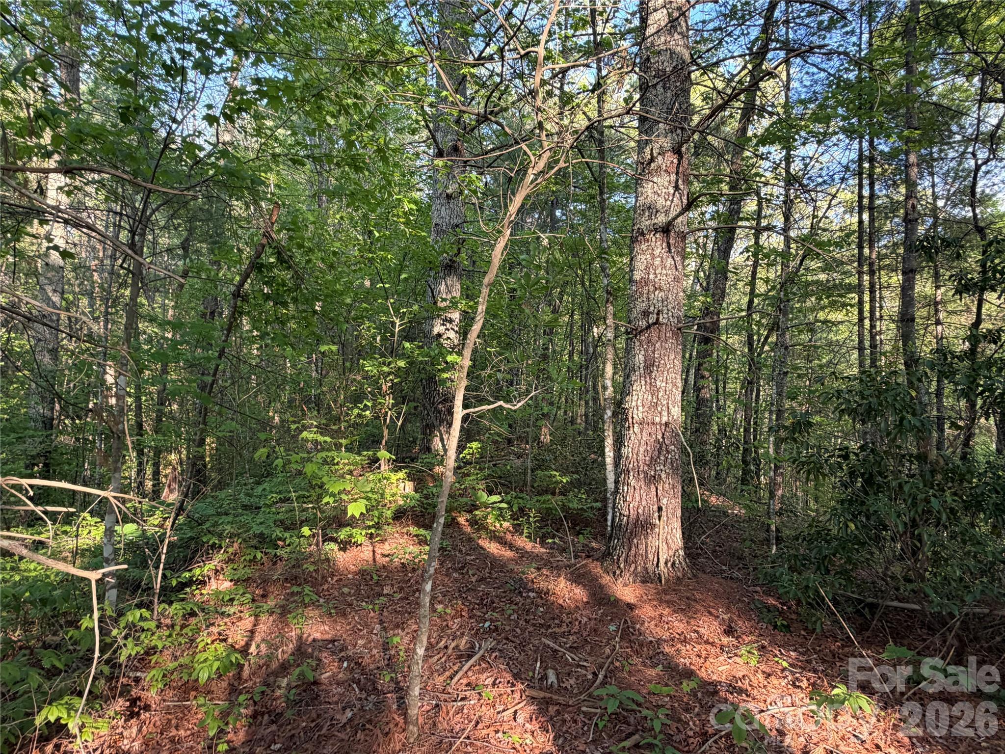 0 Howard Edwards Road Robbinsville, NC 28771 - Photo 12 of 21 Gallery Image 12