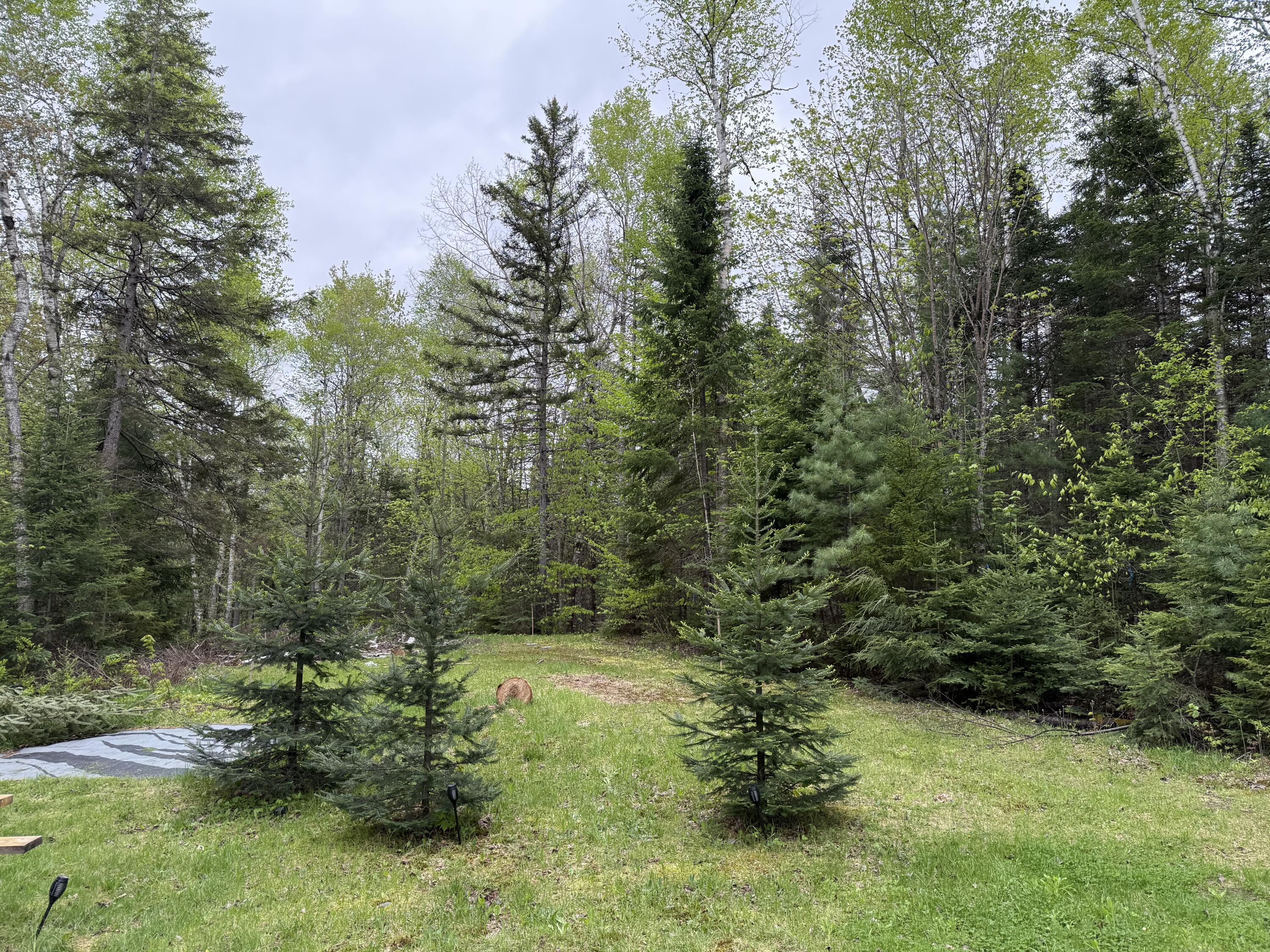 172 Blanchard Road Monson, ME 04464 - Photo 19 of 31 IMG_8021