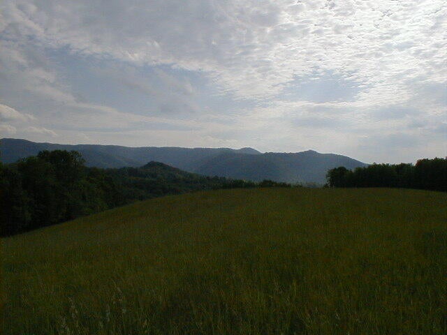 248 Somerset Farm Road Meadow Bridge, WV 25976 - Photo 98 of 98 Gallery Image 98