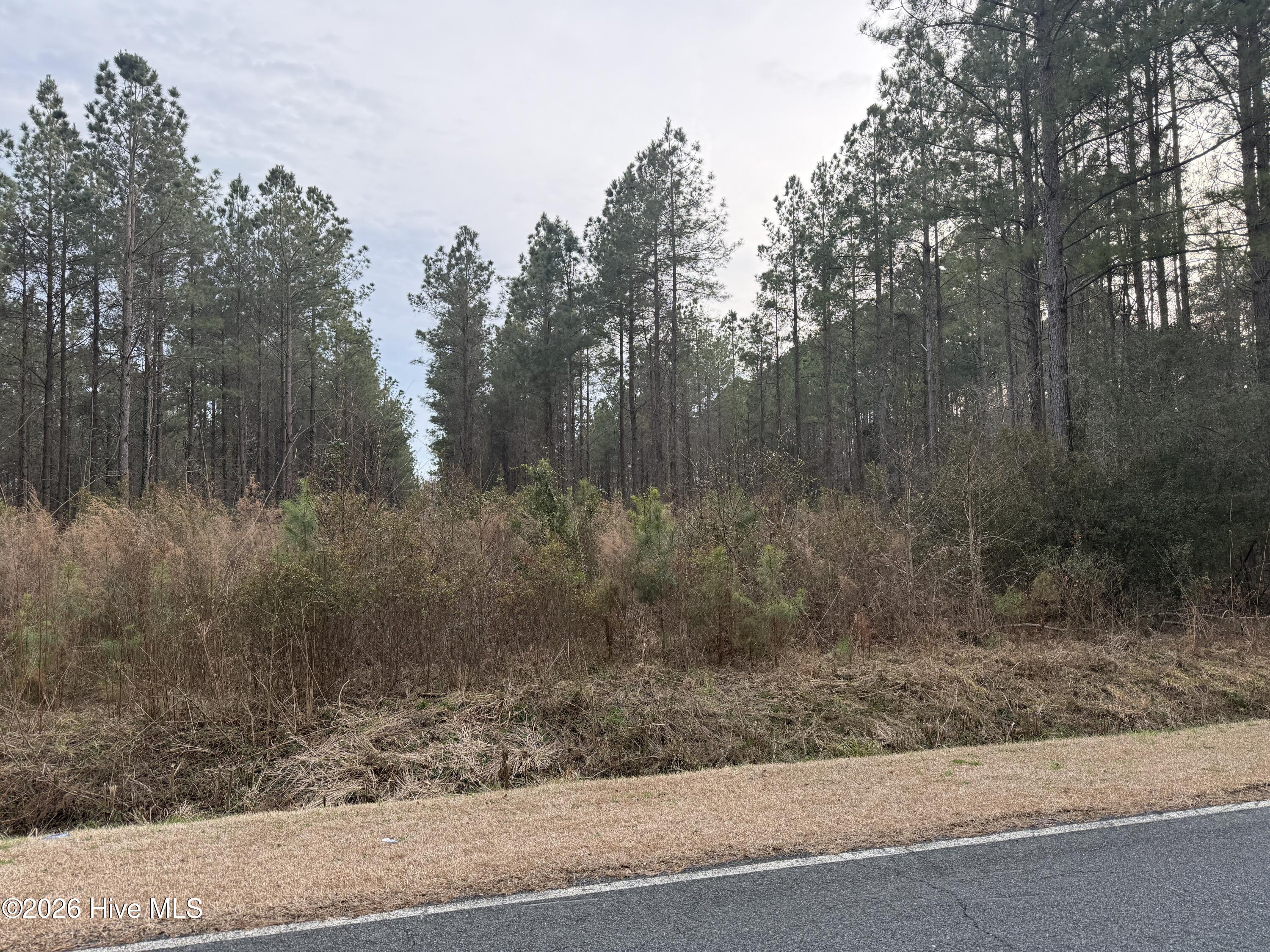 0 Wall's Mill Road Aurora, NC 27806 - Photo 5 of 16 IMG_1167