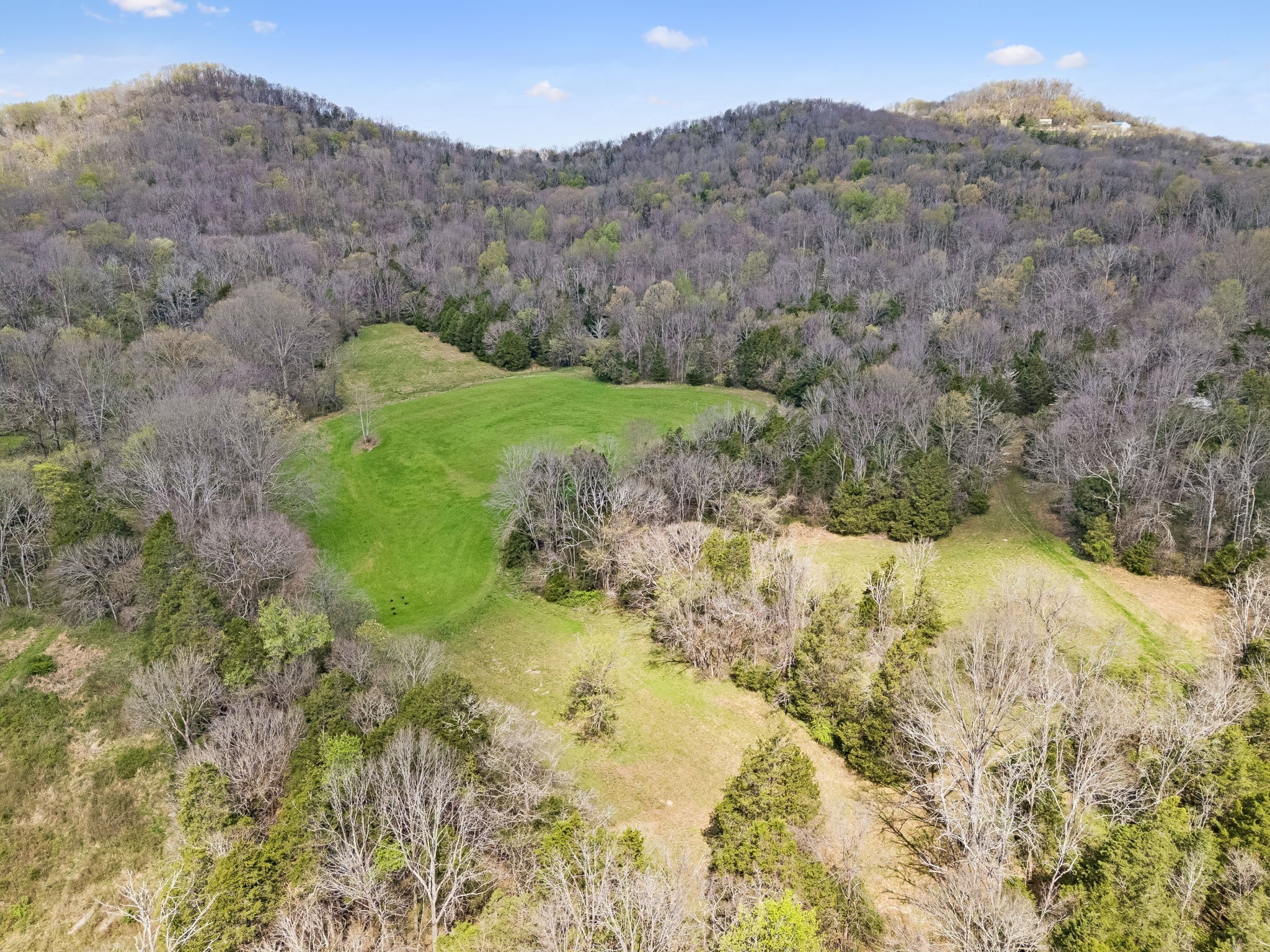 0 Turney Road Auburntown, TN 37016 - Photo 31 of 46 Gallery Image 31