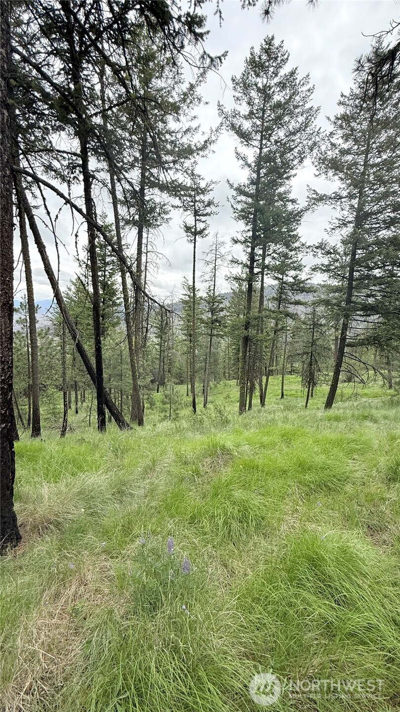 0 Broken Spoke Road Tonasket, WA 98855 - Photo 31 of 39 a big yard with lots of green space and trees in the background