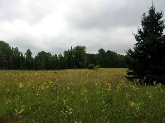 Lot 4 Allyn Road Mercer, WI 54547 - Photo 12 of 20 Gallery Image 12