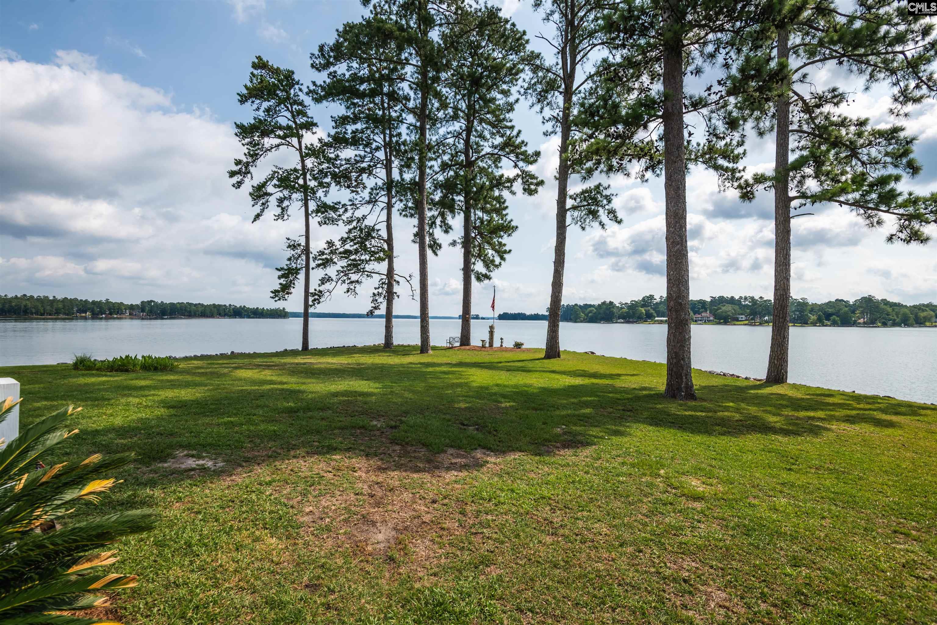 675 East Point Drive Gilbert, SC 29054 - Photo 21 of 76