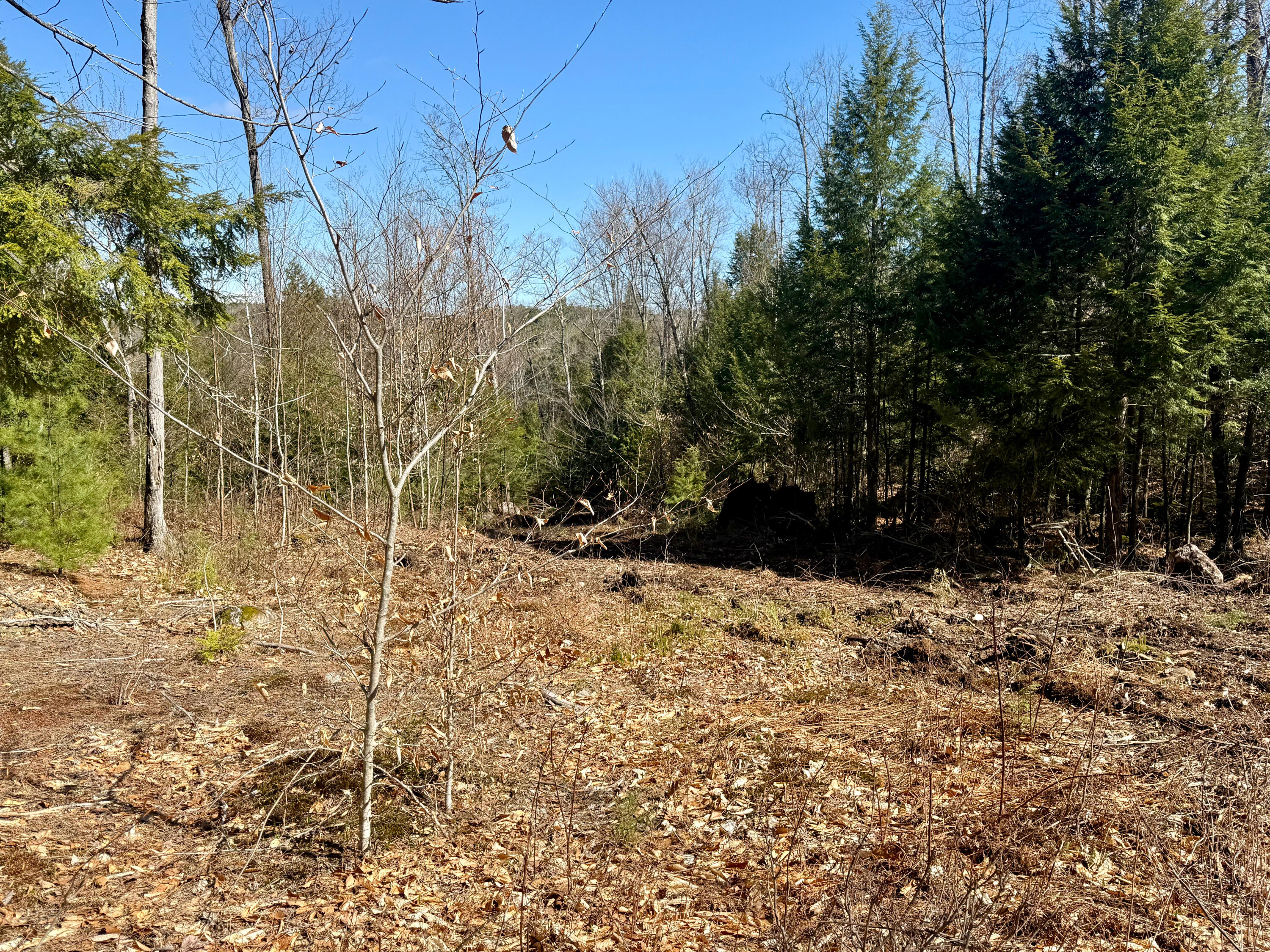 Map8-lot53b Buckfield Road South Paris, ME 04281 - Photo 2 of 8 IMG_2026-05-01-164511