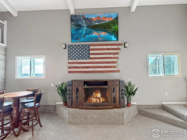 a living room with furniture a fireplace and a potted plant