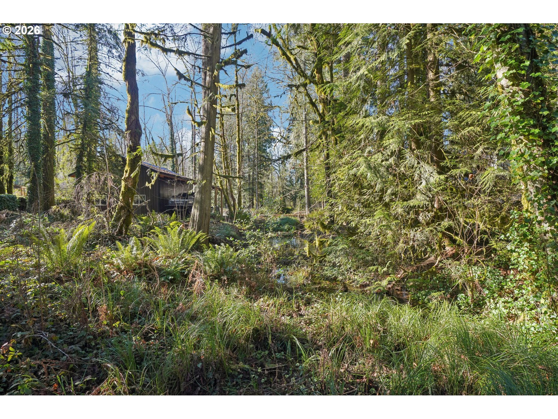 63875 East Barlow Trail Road Rhododendron, OR 97049 - Photo 16 of 17 a view of a city with lush green forest