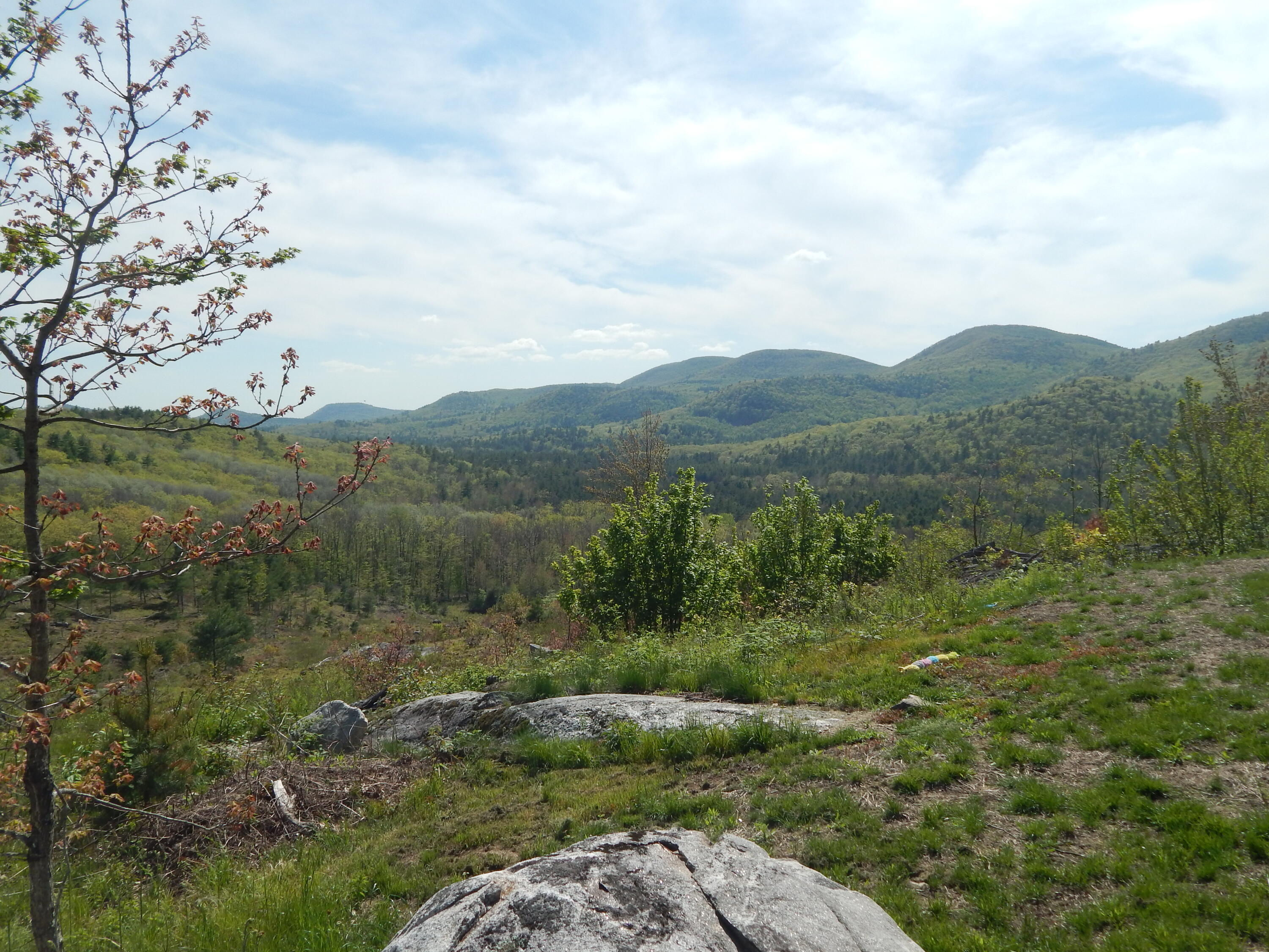 80 Pasture Lane Brownfield, ME 04010 - Photo 14 of 59 DSCN8909