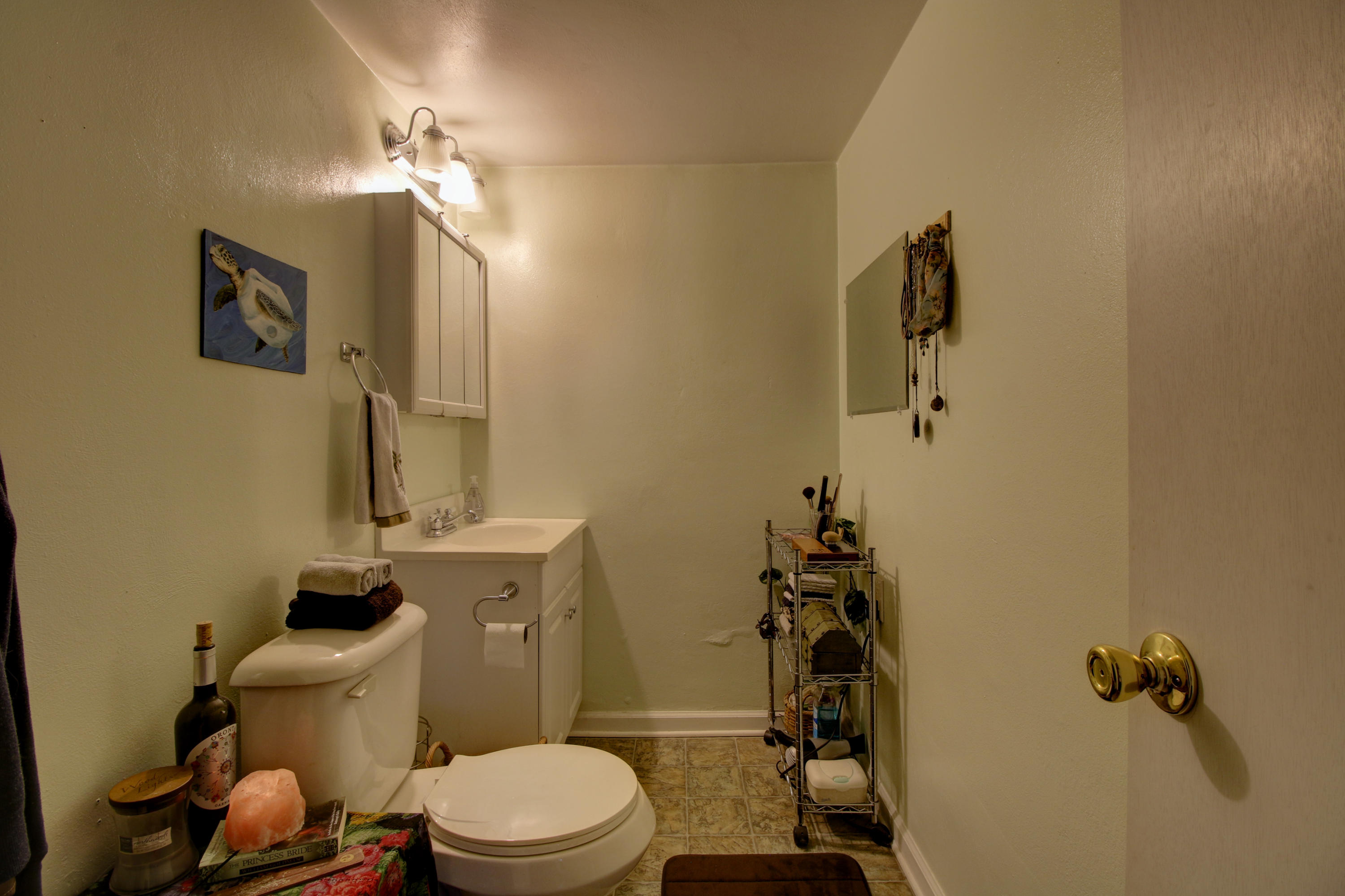 3203 Bromley Road Roanoke, VA 24018 - Photo 22 of 27 _MG_9232_3_4
