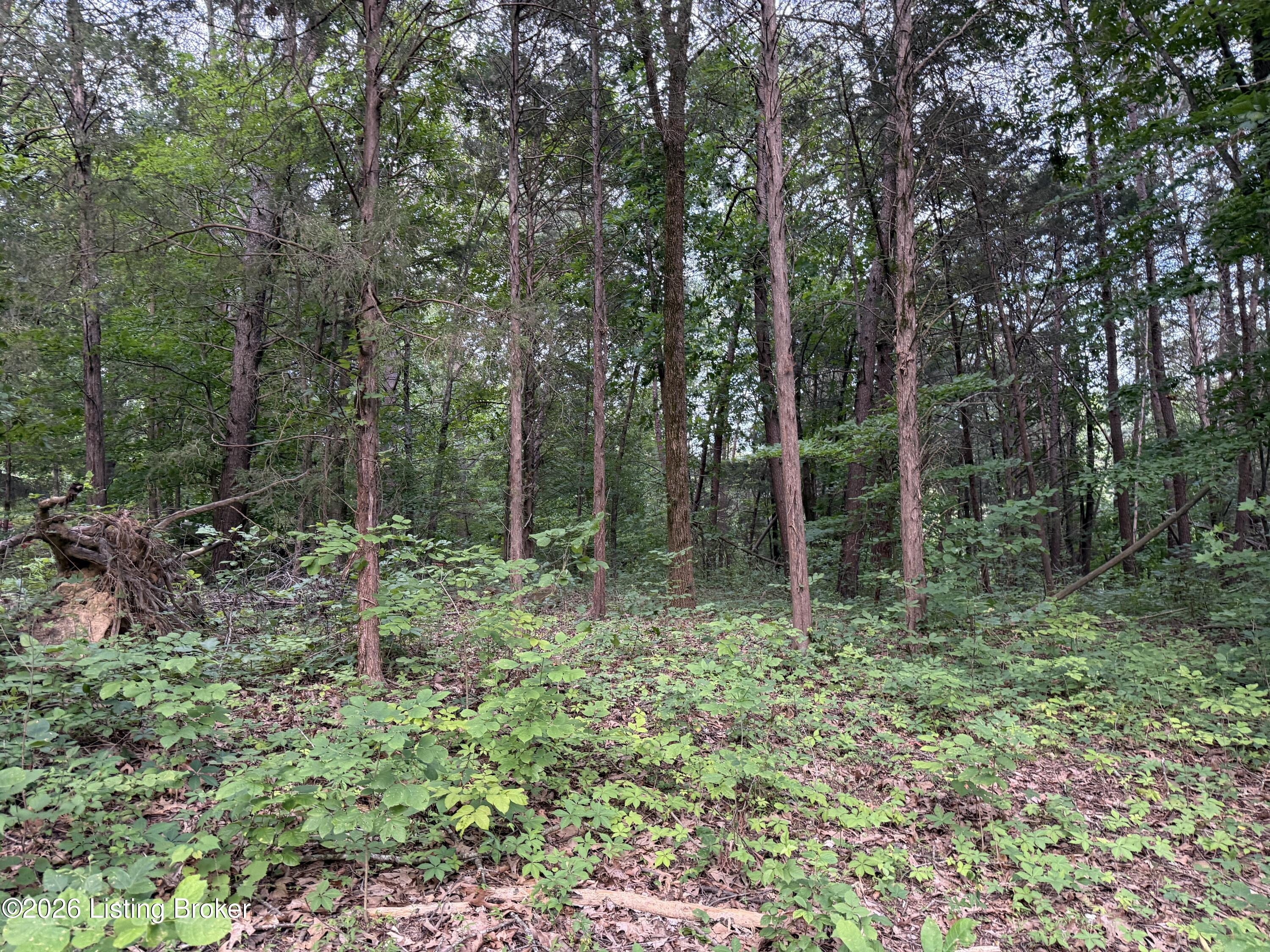 362 Irene Decker Road Clarkson, KY 42726 - Photo 29 of 37 Nolin Lake, boat slip, water front lake lot, deeded access