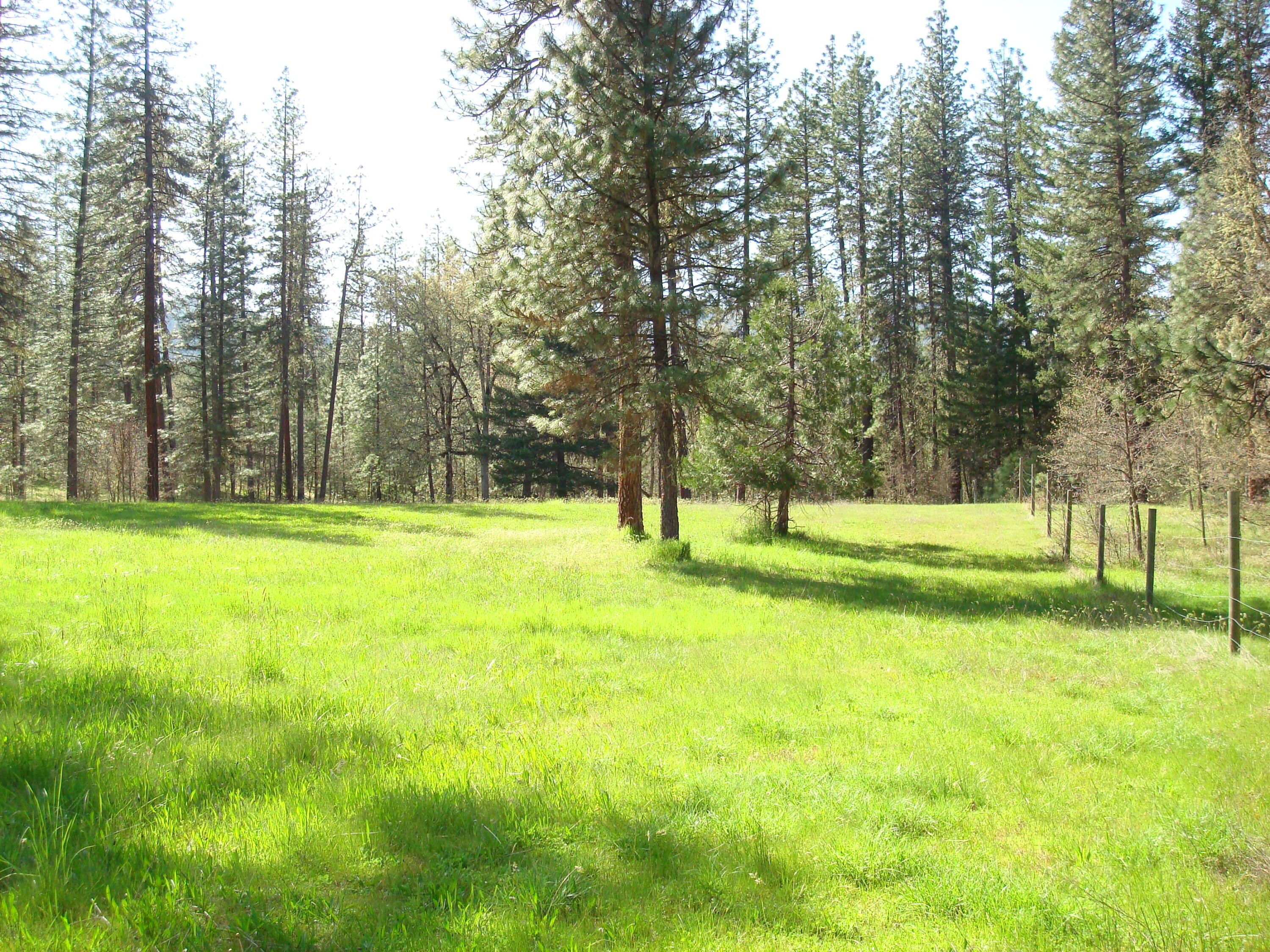 16575 Meadows Road White City, OR 97503 - Photo 42 of 46 Pasture
