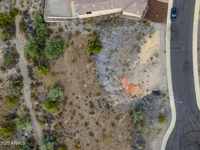 a view of a dry yard