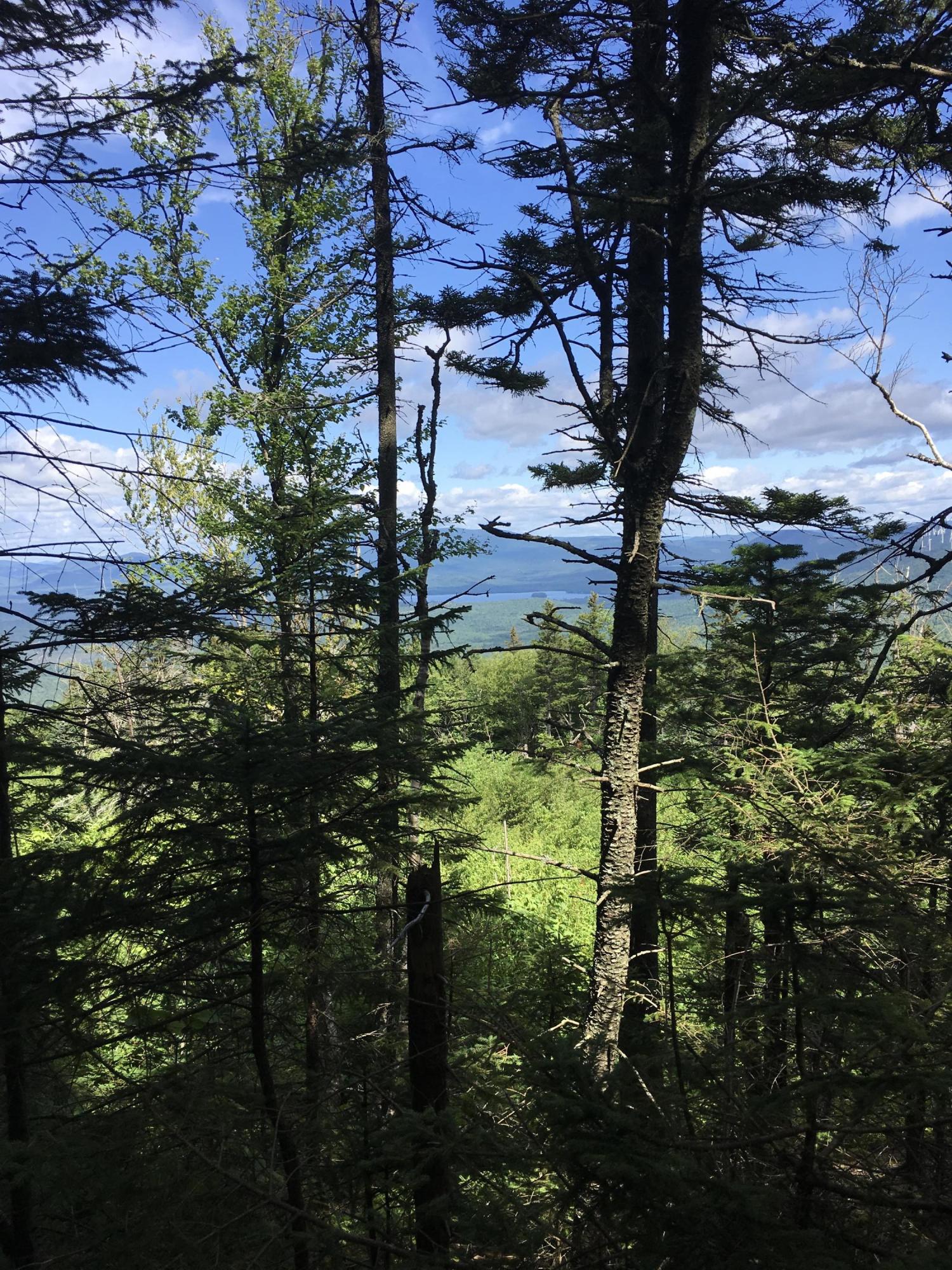 0 Tower Road Rumford, ME 04276 - Photo 16 of 34 B49EF83C-0BFD-440E-9C79-84A42614C9CE