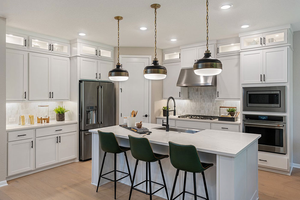 1509 Plum Tree Way Georgetown, TX 78628 - Photo 6 of 25 REPRESENTATIVE PHOTO