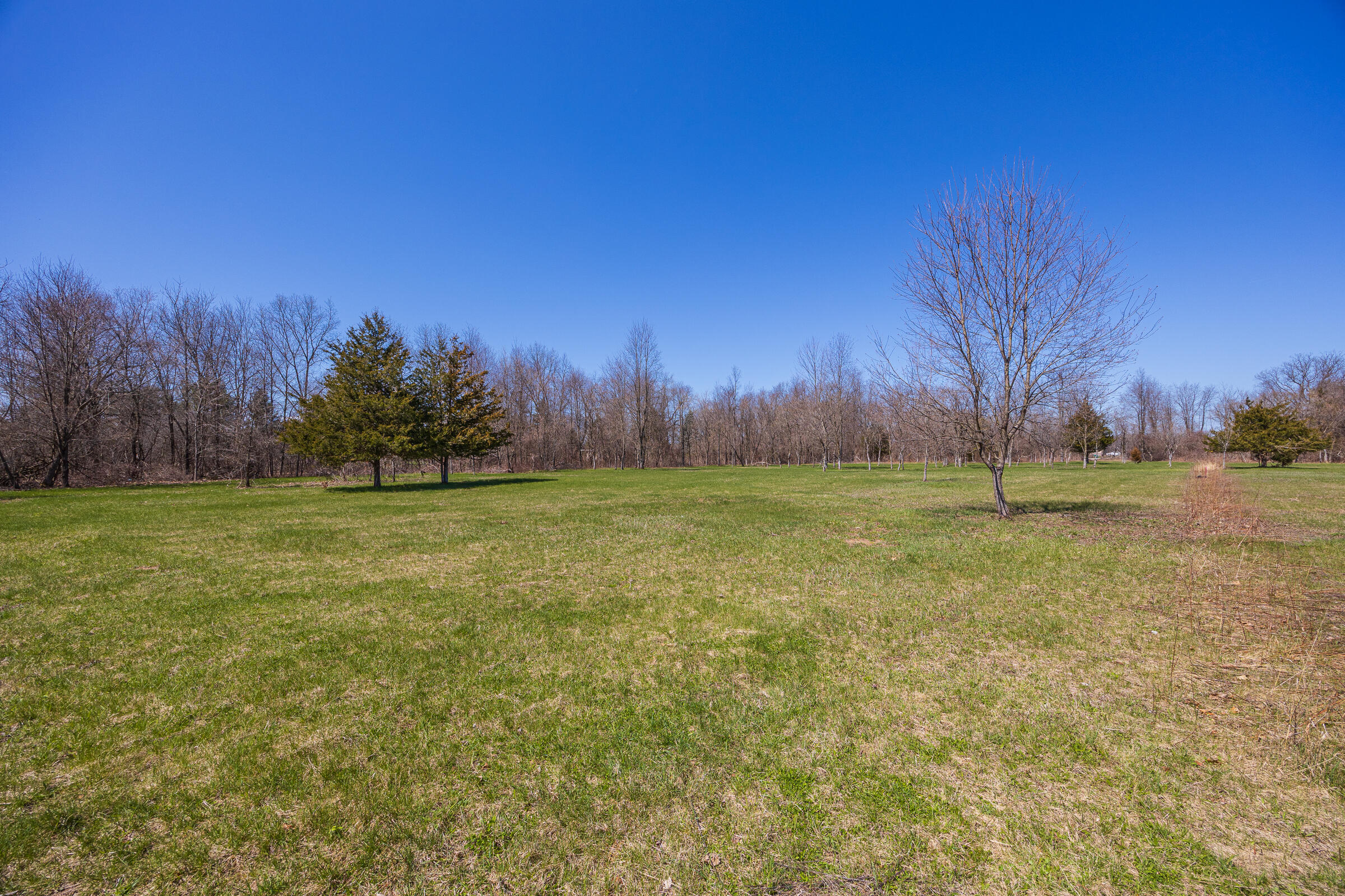 0 Jennings Road Whitmore Lake, MI 48189 - Photo 11 of 19 Whitmore Lake_Parcel 1-6