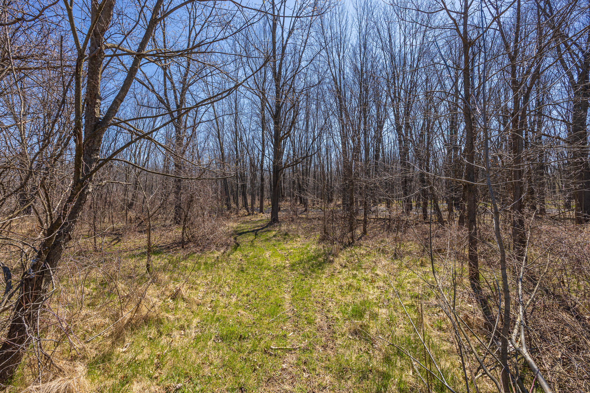 0 Jennings Road Whitmore Lake, MI 48189 - Photo 13 of 19 Whitmore Lake_Parcel 1-8