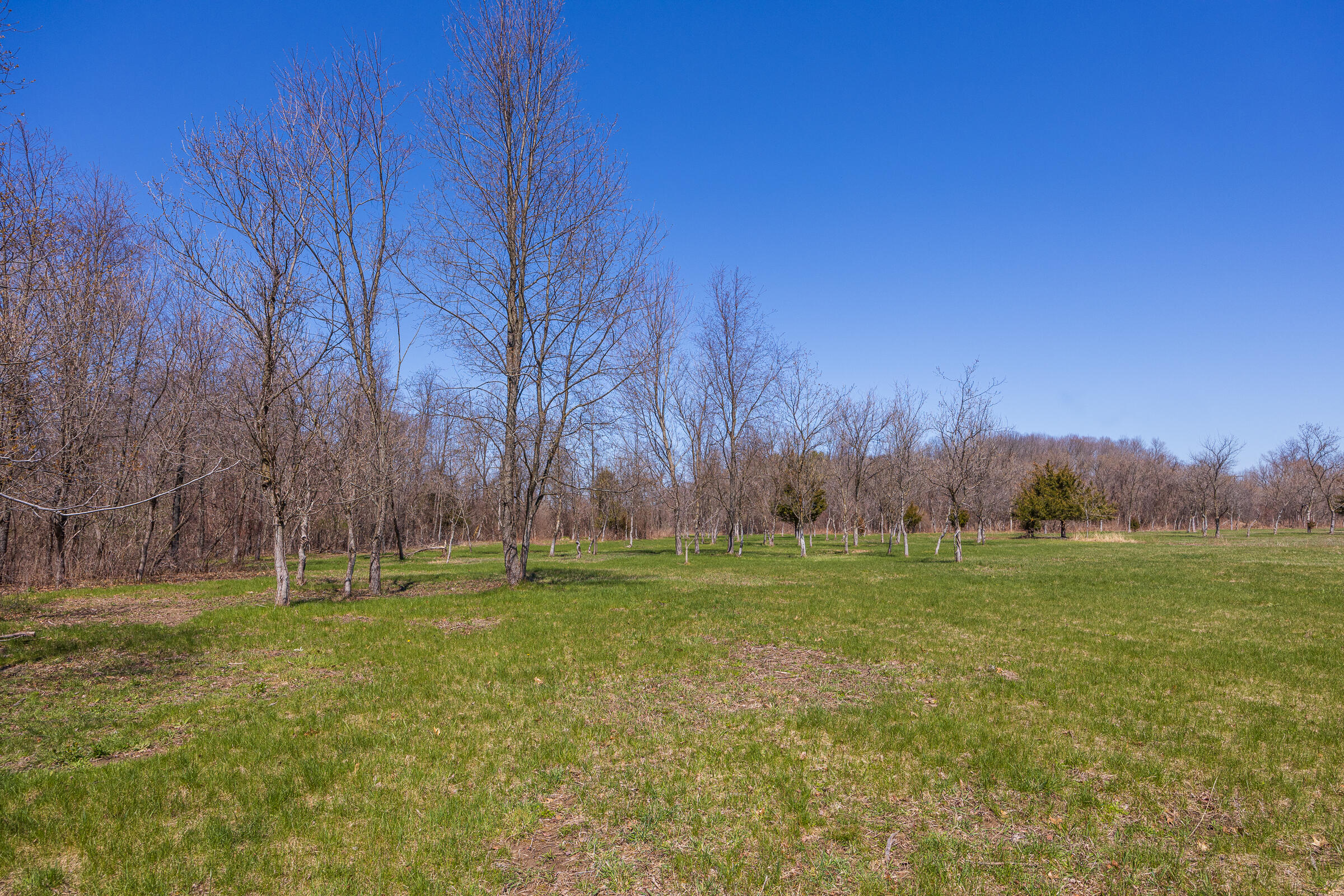 0 Jennings Road Whitmore Lake, MI 48189 - Photo 14 of 19 Whitmore Lake_Parcel 1-9