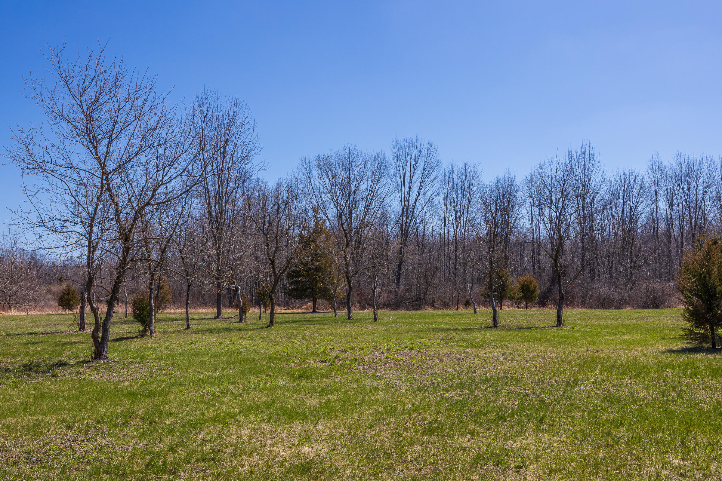 0 Jennings Road Whitmore Lake, MI 48189 - Photo 15 of 19 Whitmore Lake_Parcel 1-10