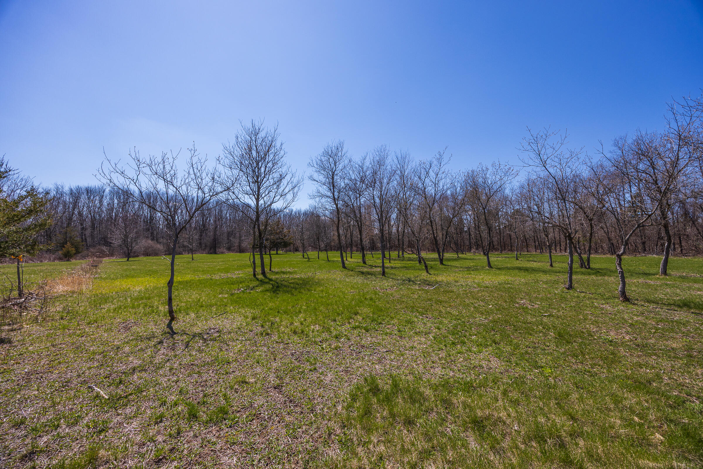 0 Jennings Road Whitmore Lake, MI 48189 - Photo 16 of 19 Whitmore Lake_Parcel 1-11