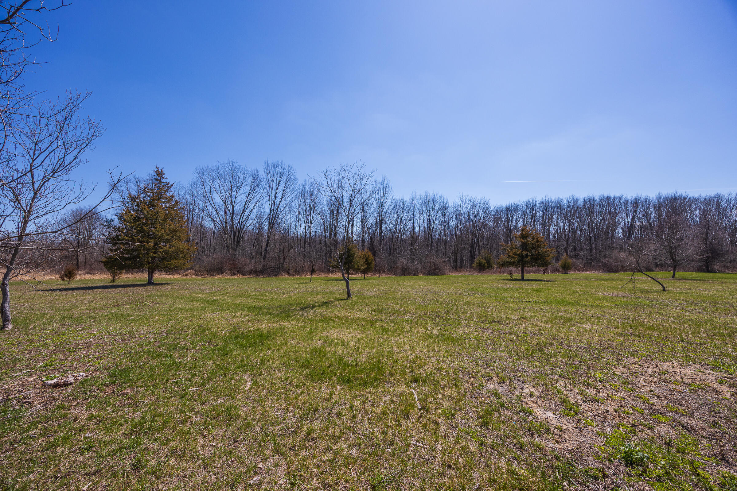 0 Jennings Road Whitmore Lake, MI 48189 - Photo 17 of 19 Whitmore Lake_Parcel 1-12