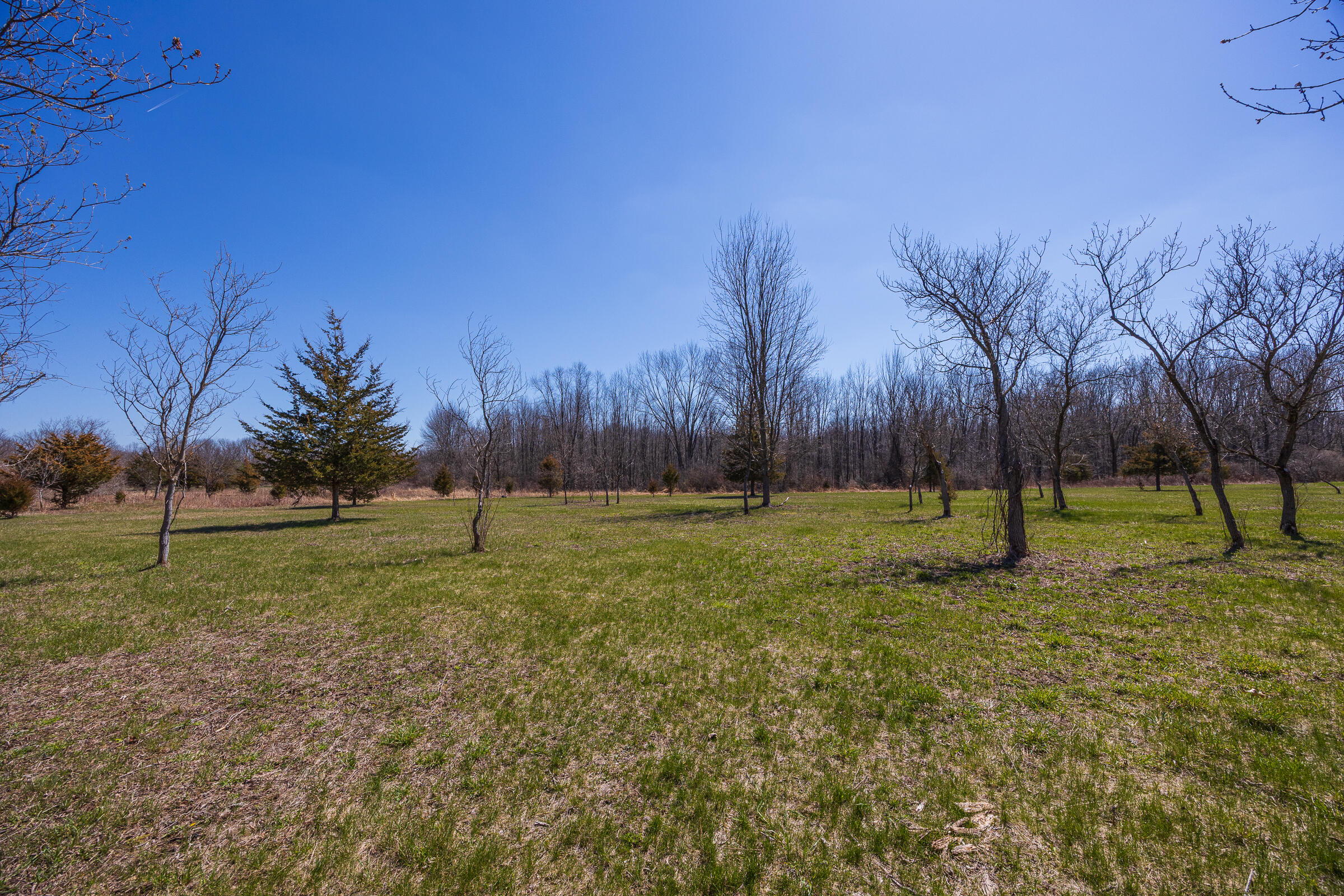 0 Jennings Road Whitmore Lake, MI 48189 - Photo 18 of 19 Whitmore Lake_Parcel 1-13