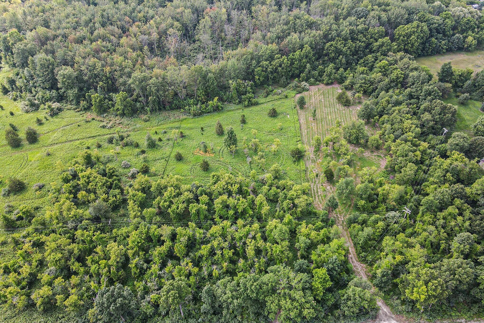 0 Jennings Road Whitmore Lake, MI 48189 - Photo 4 of 19 012_file_47