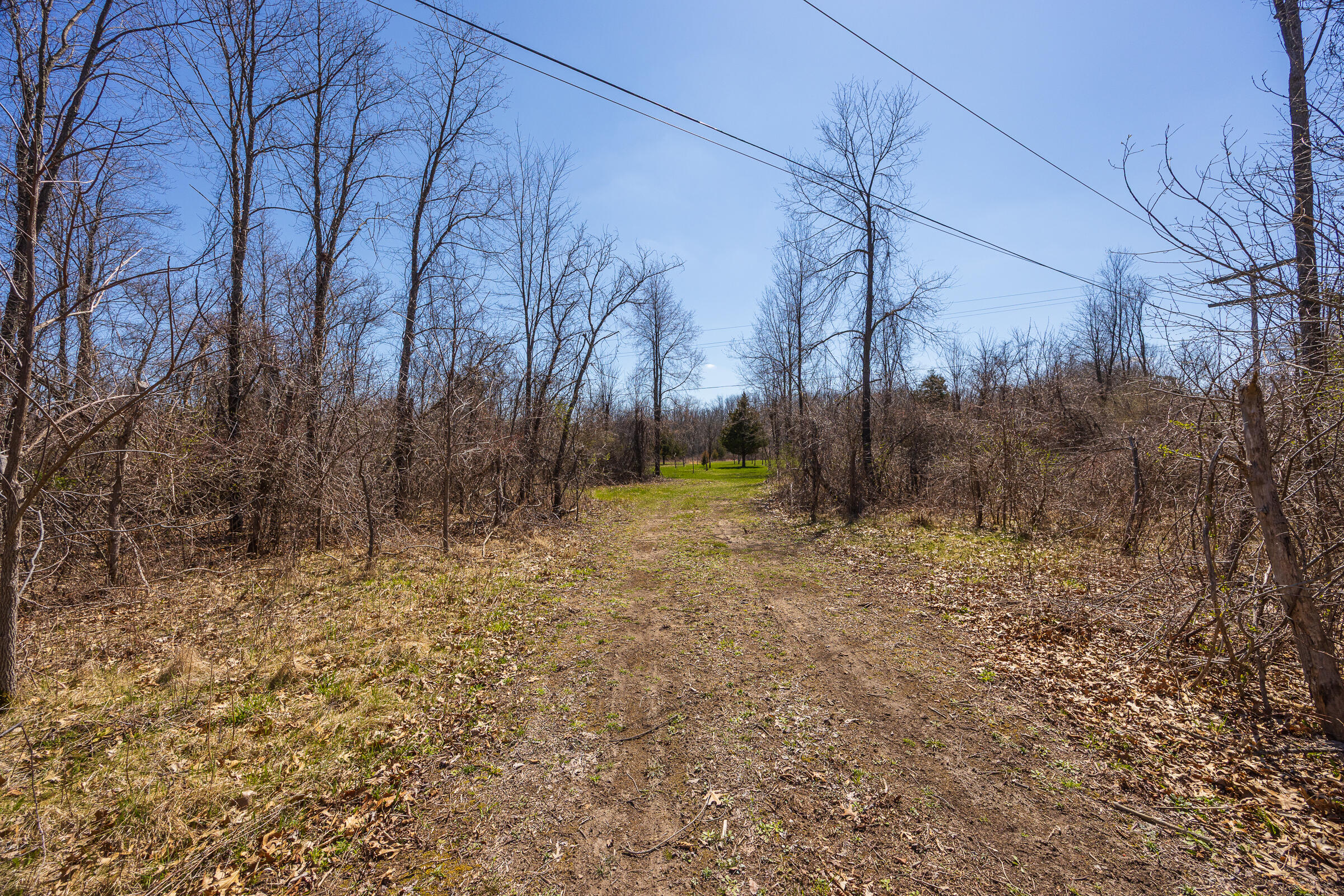 0 Jennings Road Whitmore Lake, MI 48189 - Photo 5 of 19 Whitmore Lake_Parcel 1-3