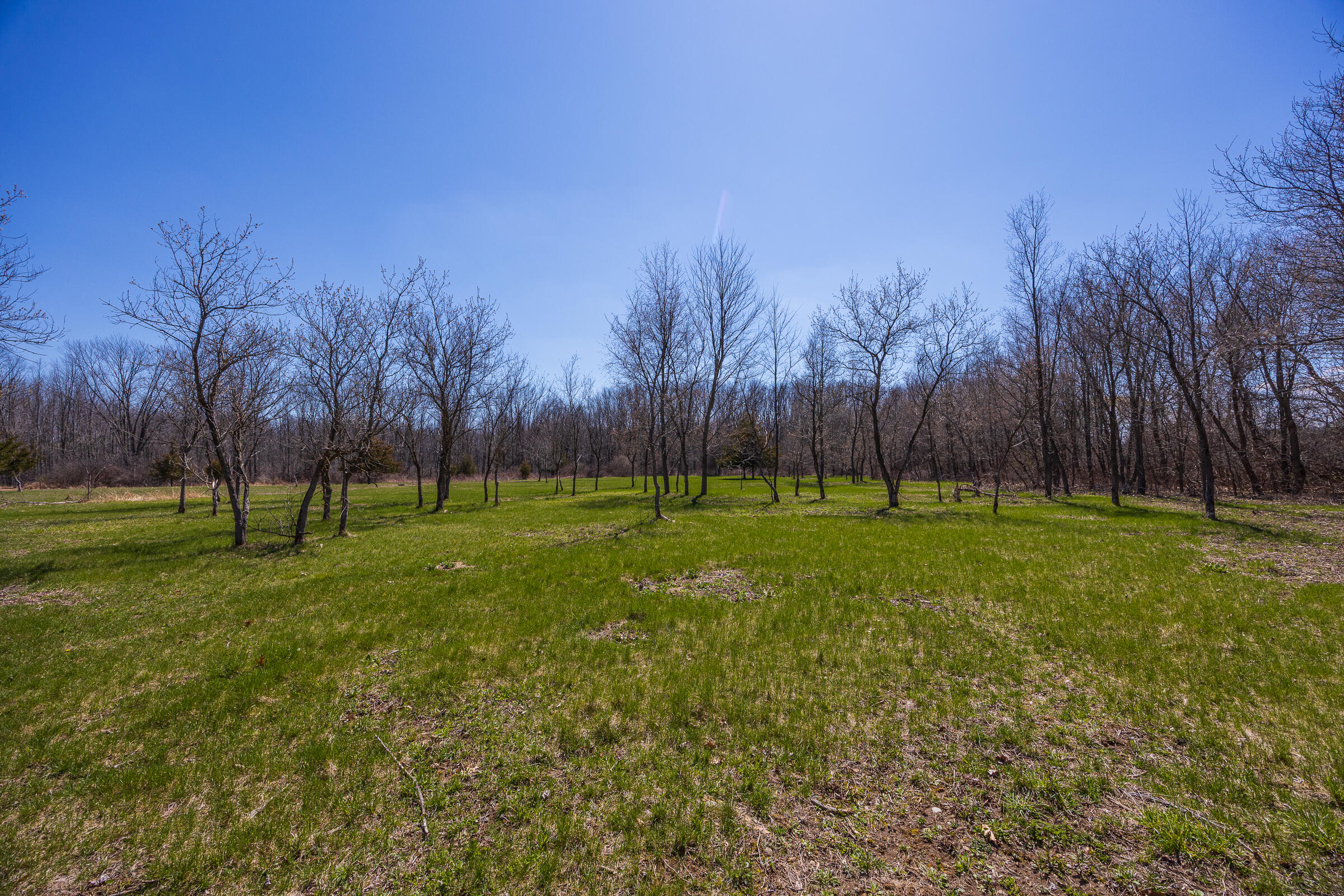 0 Jennings Road Whitmore Lake, MI 48189 - Photo 7 of 19 Whitmore Lake_Parcel 1-4