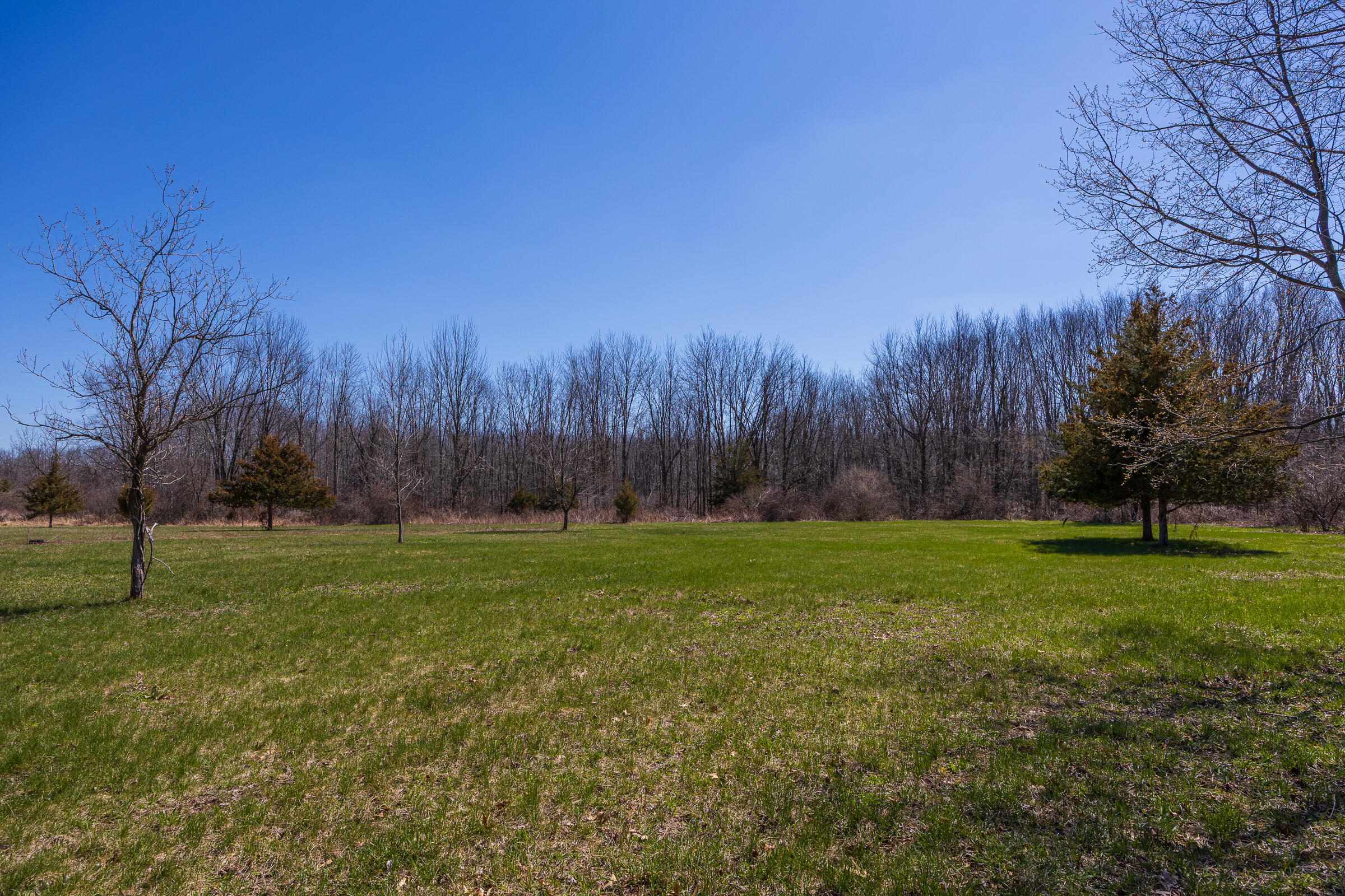 0 Jennings Road Whitmore Lake, MI 48189 - Photo 9 of 19 Whitmore Lake_Parcel 1-5