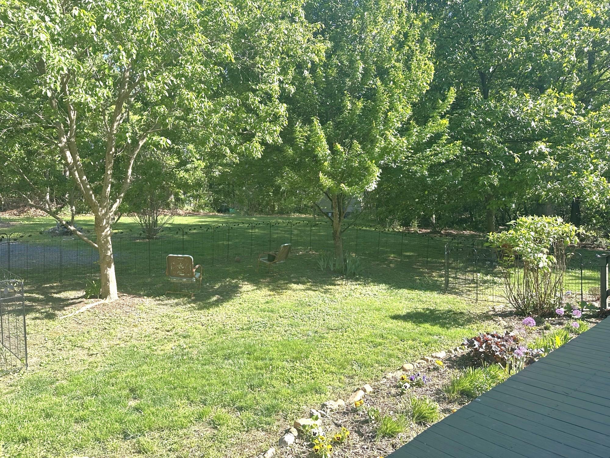 2891 Saumsville Road Maurertown, VA 22644 - Photo 65 of 68 Large yard