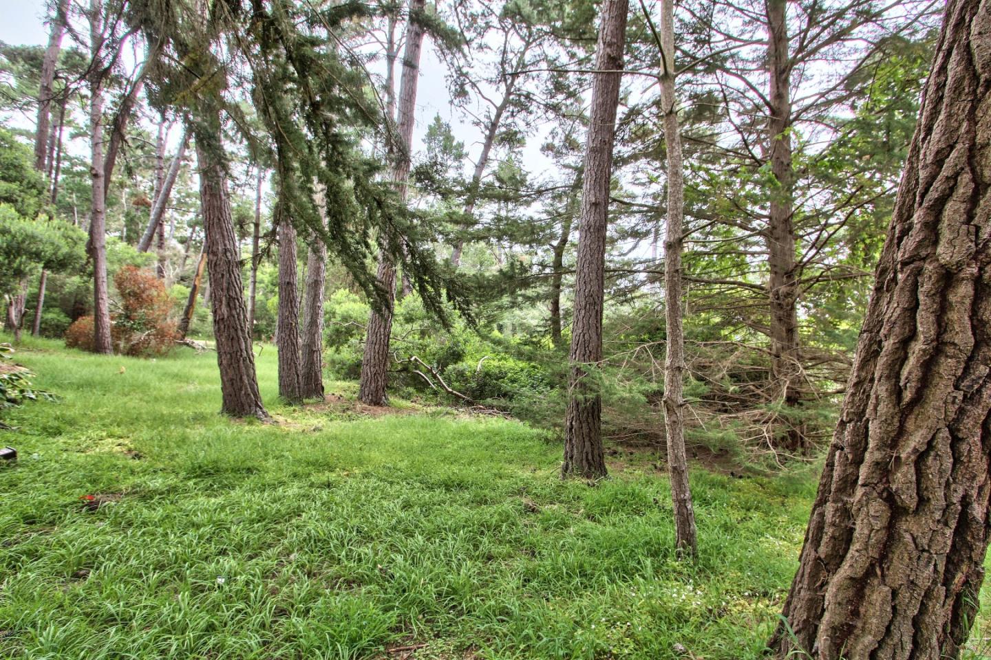 4025 Costado Road Pebble Beach, CA 93953 - Photo 21 of 21 a big yard with lots of green space and trees