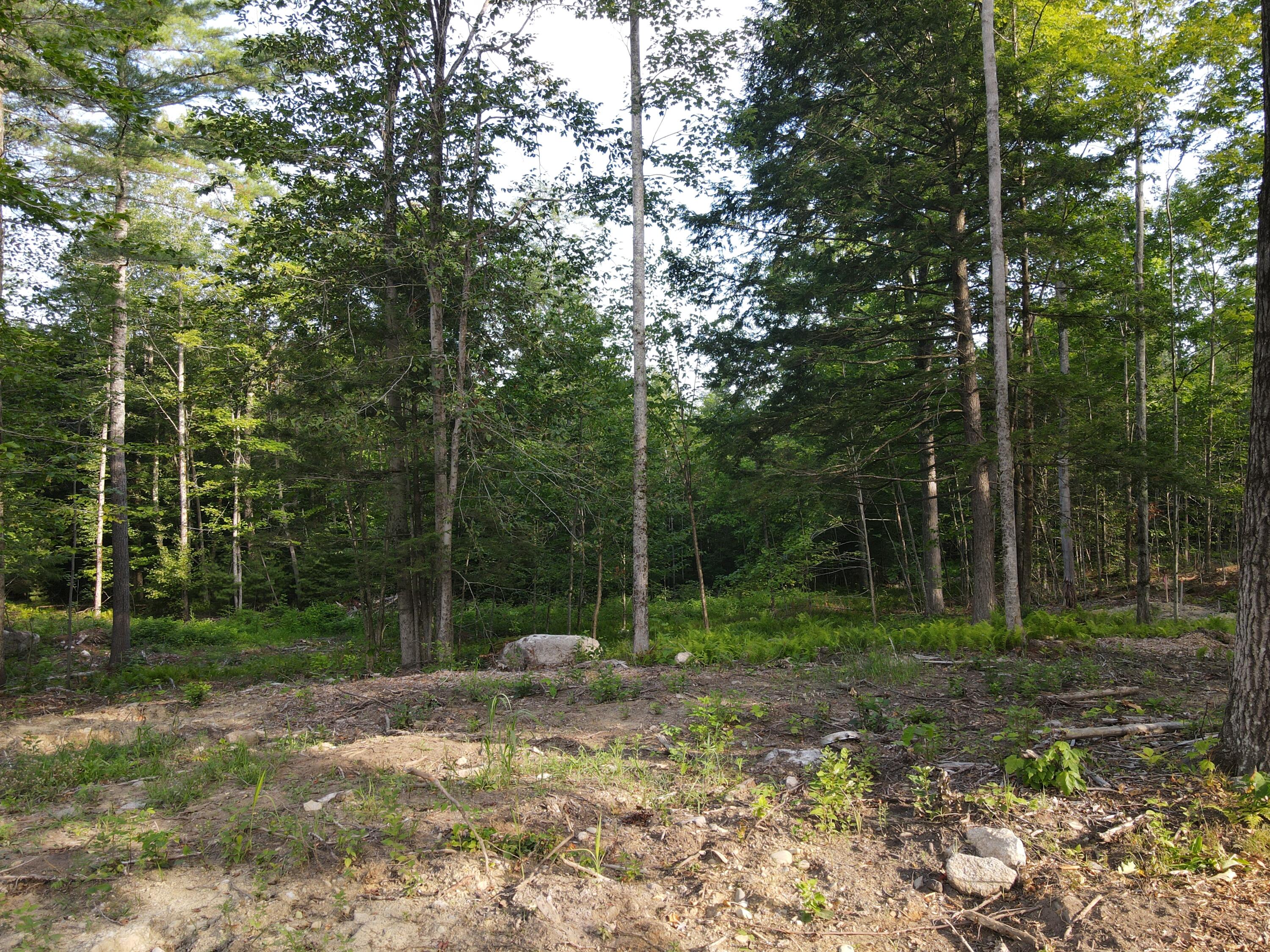 Lot 1 Oak Pond Road Skowhegan, ME 04976 - Photo 2 of 6 dji_fly_20250807_080000_595_175457135404