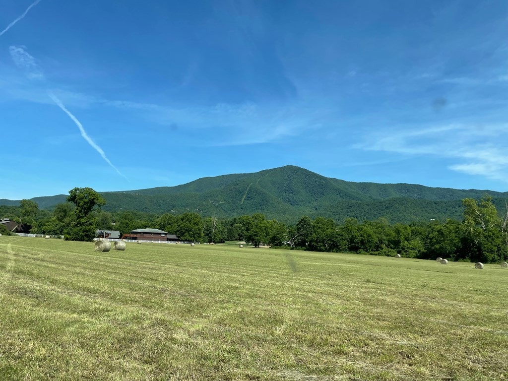 10 11 Line Springs Road Sevierville, TN 37862 - Photo 3 of 16